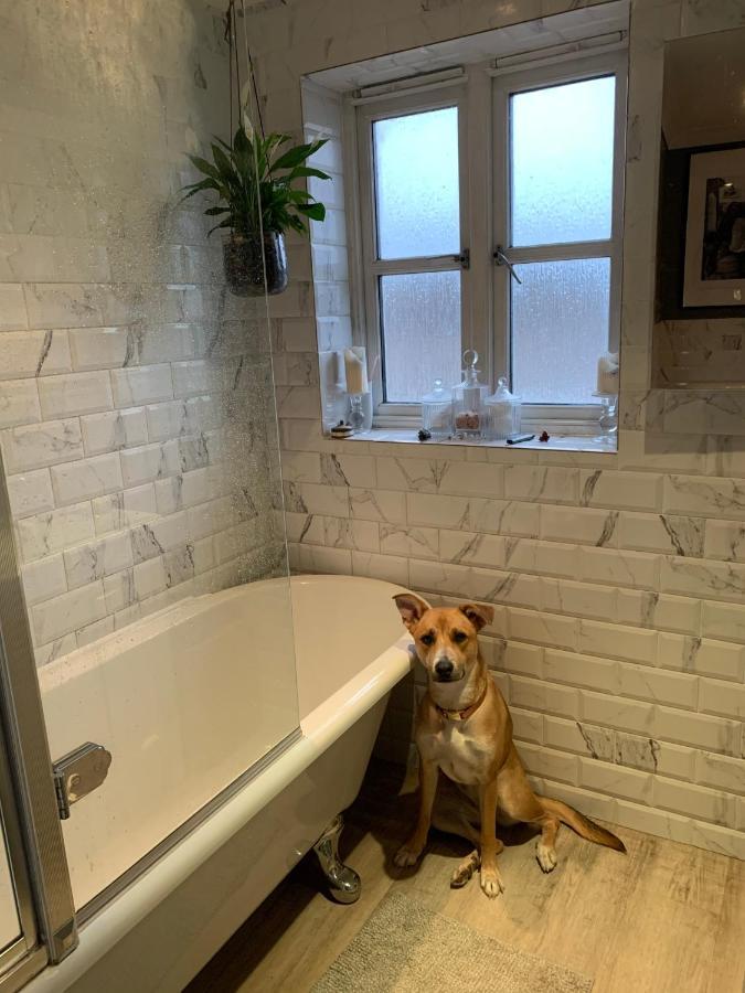 Stylish 3 Bedroom Townhouse For 5 Guests, Set In The Medieval Grid With Off Street Parking Bury St. Edmunds Ngoại thất bức ảnh